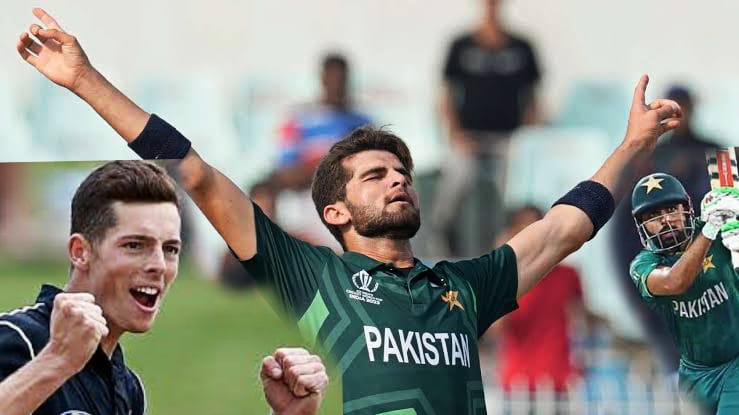 پاکستان بمقابلہ نیوزی لینڈ،چوتھا ٹی 20 میچ کل،کرائسٹ چرچ میں کیا چانسز
