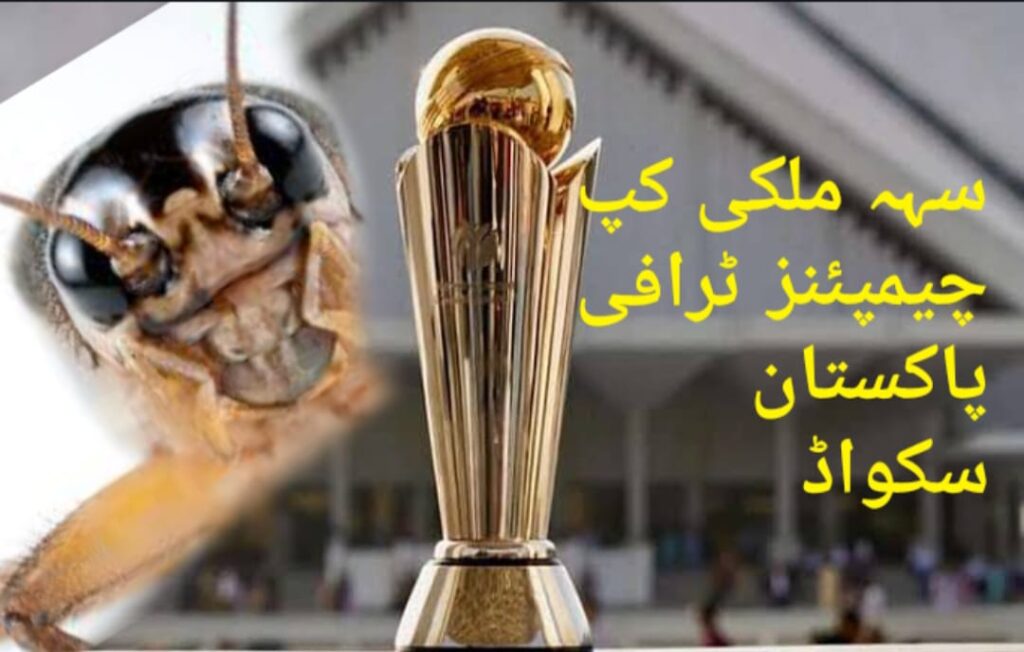 سہہ ملکی کپ،چیمپئنز ٹرافی کیلئے پاکستان کا سکواڈ،نام آگئے