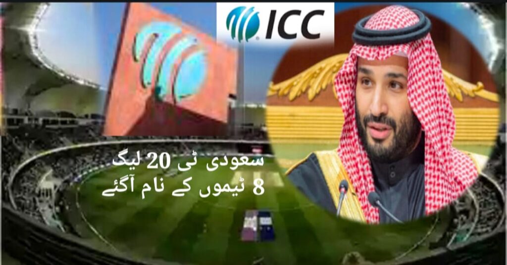 سعوی ٹی 20 لیگ،آئی سی سی بھی مالک،اگلے ماہ اہم اجلاس،اہم رپورٹ اس ماہ جاری ہوگی